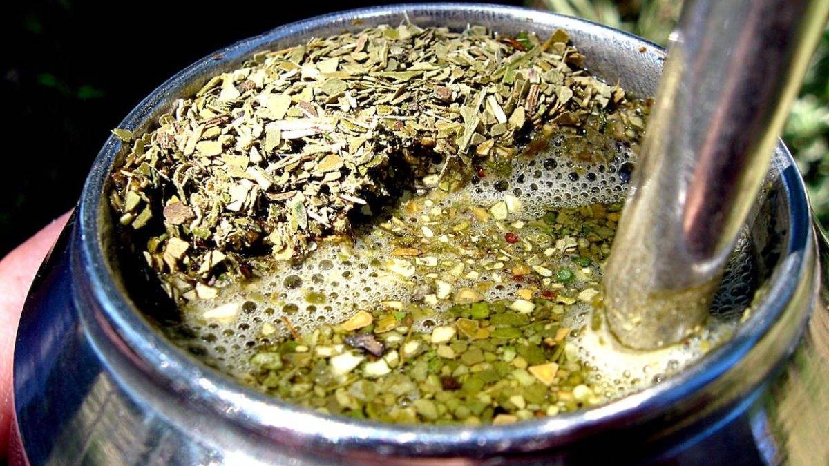 Мате — чай из индейских легенд. польза и вред напитка из парагвая