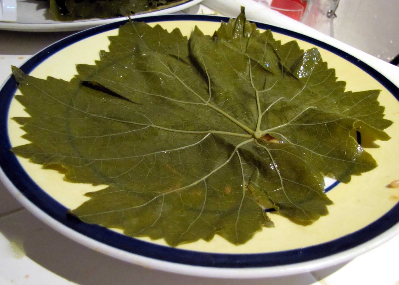 Как сделать заготовку виноградных листьев на зиму для долмы по рецепту с фото