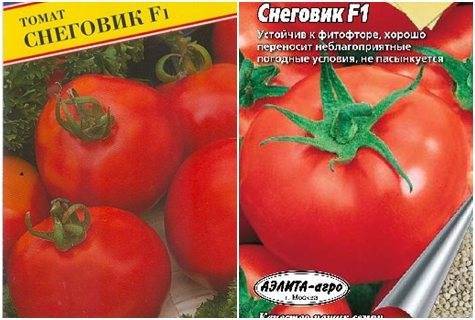 Раннеспелый сорт от фирмы сады россии — томат снеговик f1: описание и отзывы об урожайности