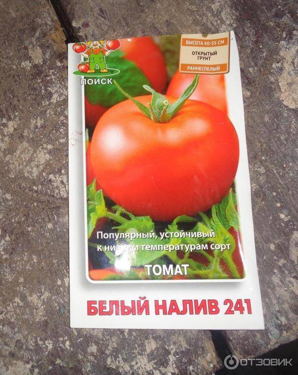 Раннеспелый томат белый налив: сортовые характеристики и агротехника
