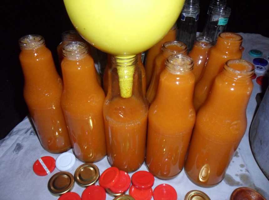 Сок из абрикосов на зиму – солнечный напиток! разные способы заготовки абрикосового сока на зиму в домашних условиях