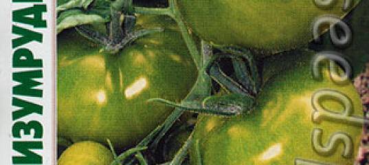 Томат изумрудное яблоко: описание сорта, характеристика, выращивание, отзывы, фото