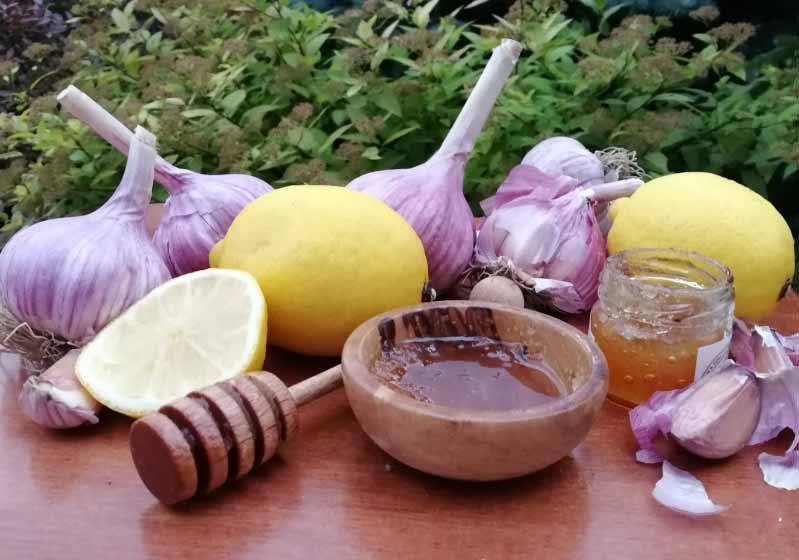 Мёд чеснок лимон - польза. рецепты. чистка сосудов - медовый сундучок