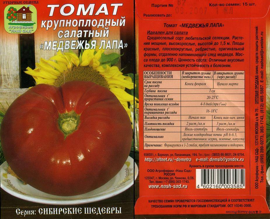 Томат сибирский медведь: характеристика и описание сорта, фото куста в высоту, отзывы об урожайности помидоров