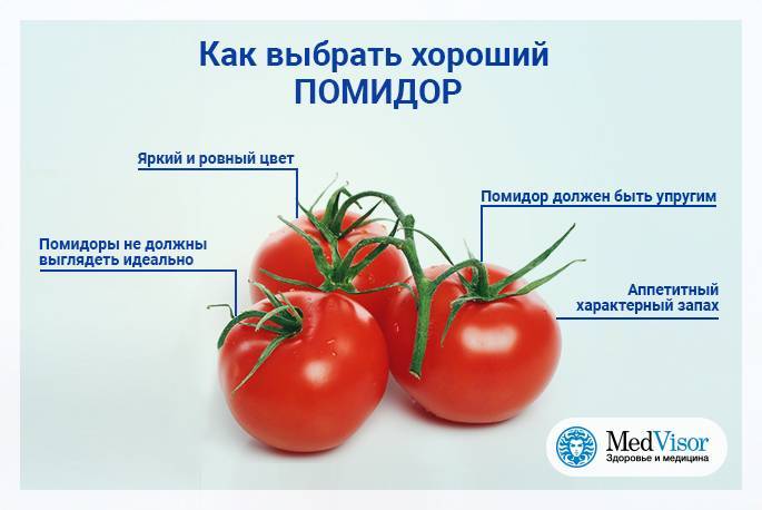 Польза и вред помидоров для здоровья человека, как выбирать и хранить