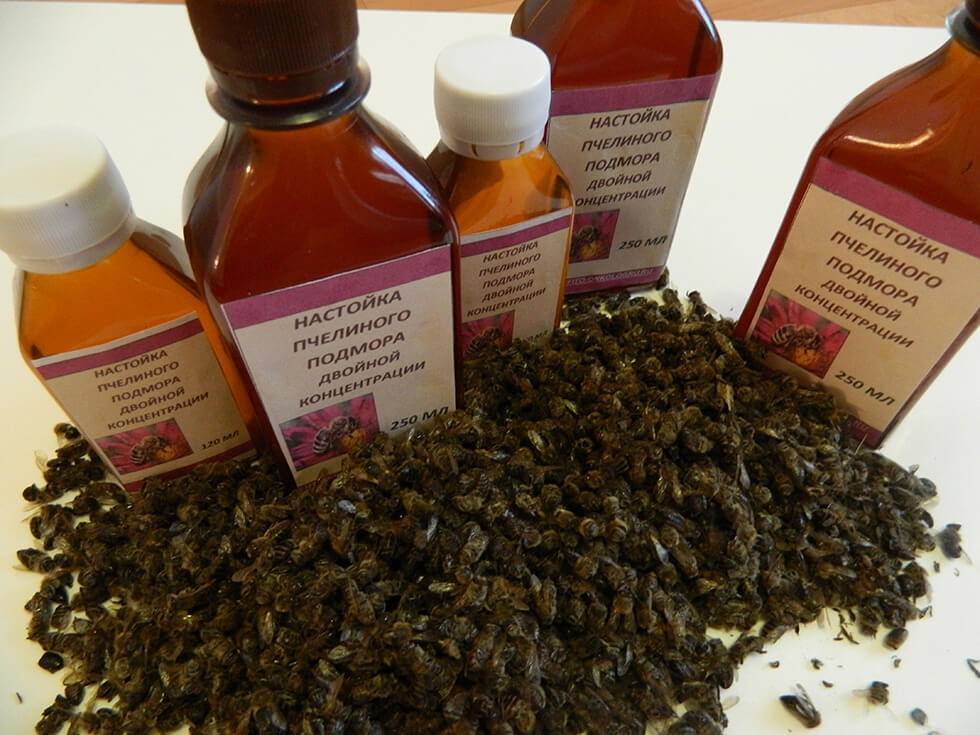 Пчелиный подмор от простатита: рецепты и правила приема