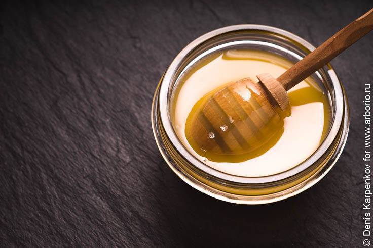 Горчичный мед: полезные свойства, противопоказания и рекомендации по выбору продукта