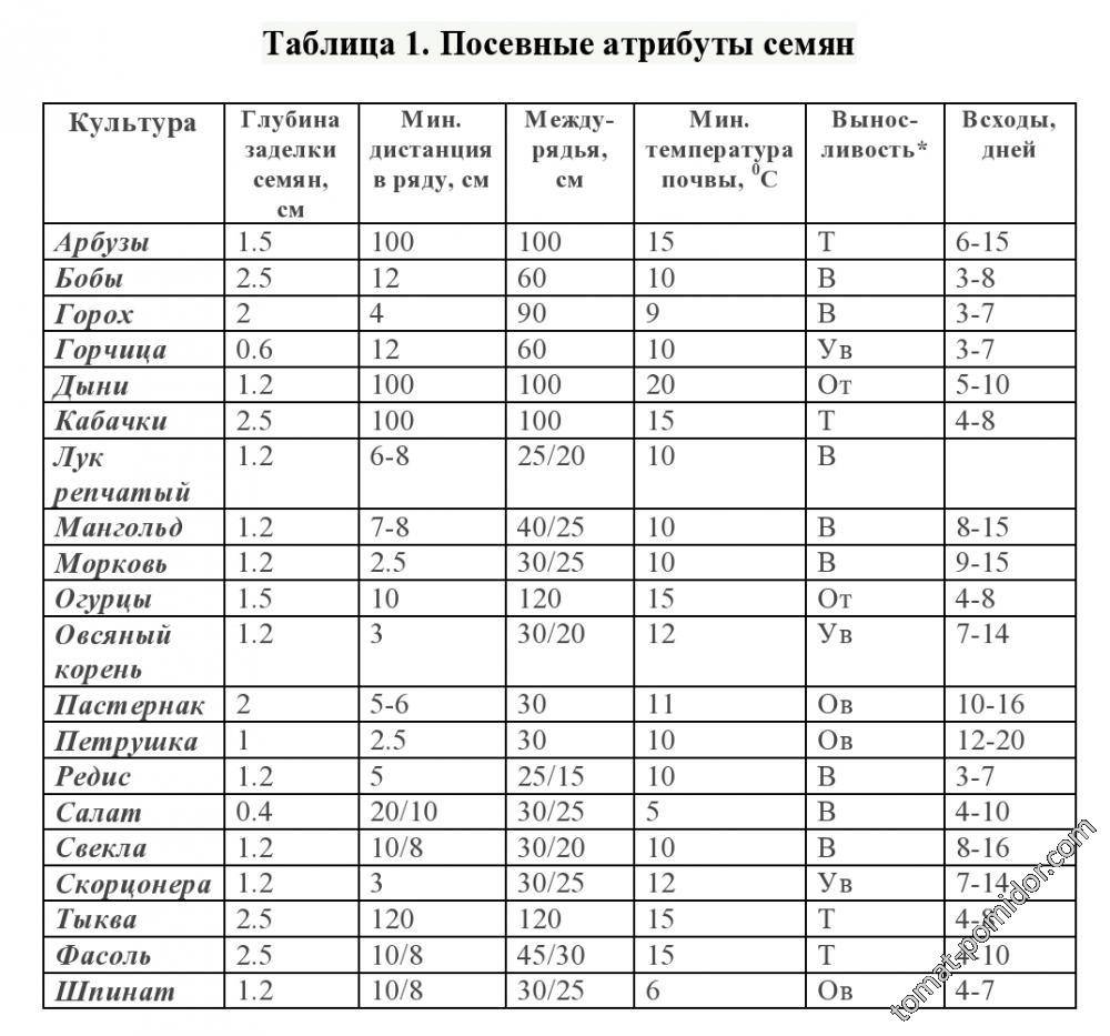 Томаты из семян: как вырастить томаты без рассады? секреты, особенности и правила посева семян прямо в почву | огородники