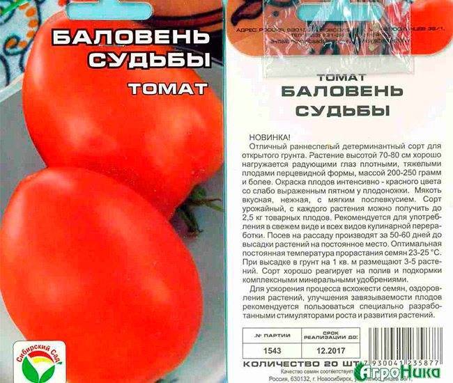 Томат диетический здоровяк: характеристика и описание сорта, отзывы об урожайности помидоров, фото куста