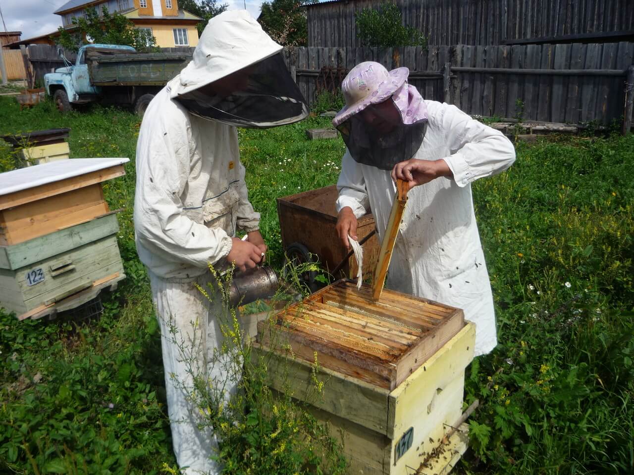 Мёд когда и как правильно собирать | советы садоводам