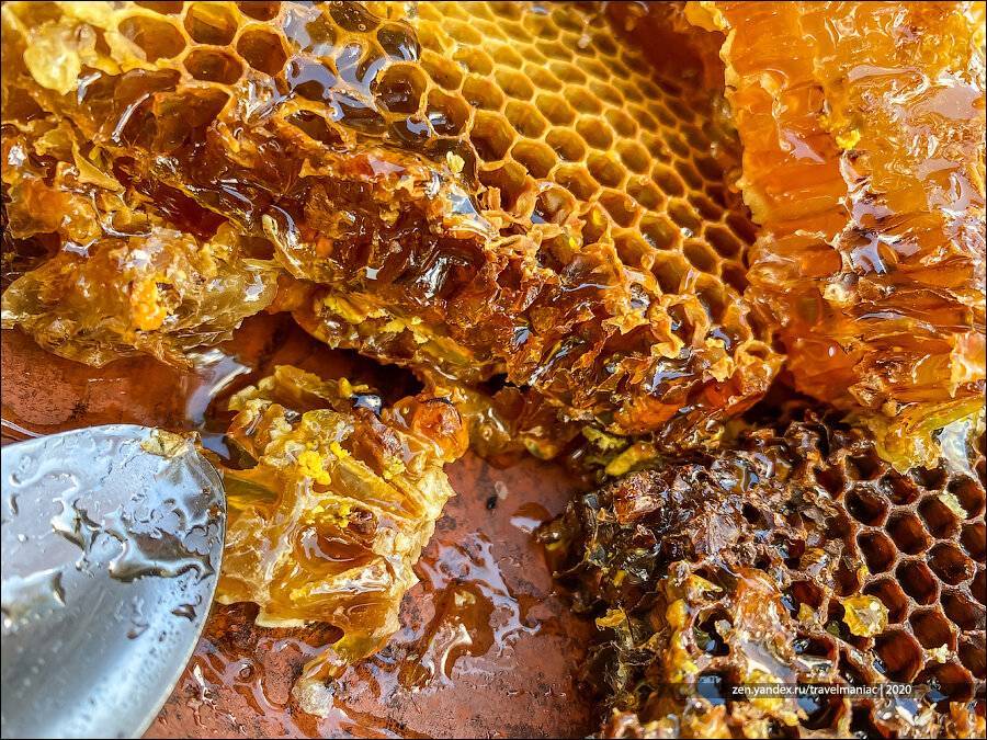 Элитный дикий бортевой мед и его полезные свойства