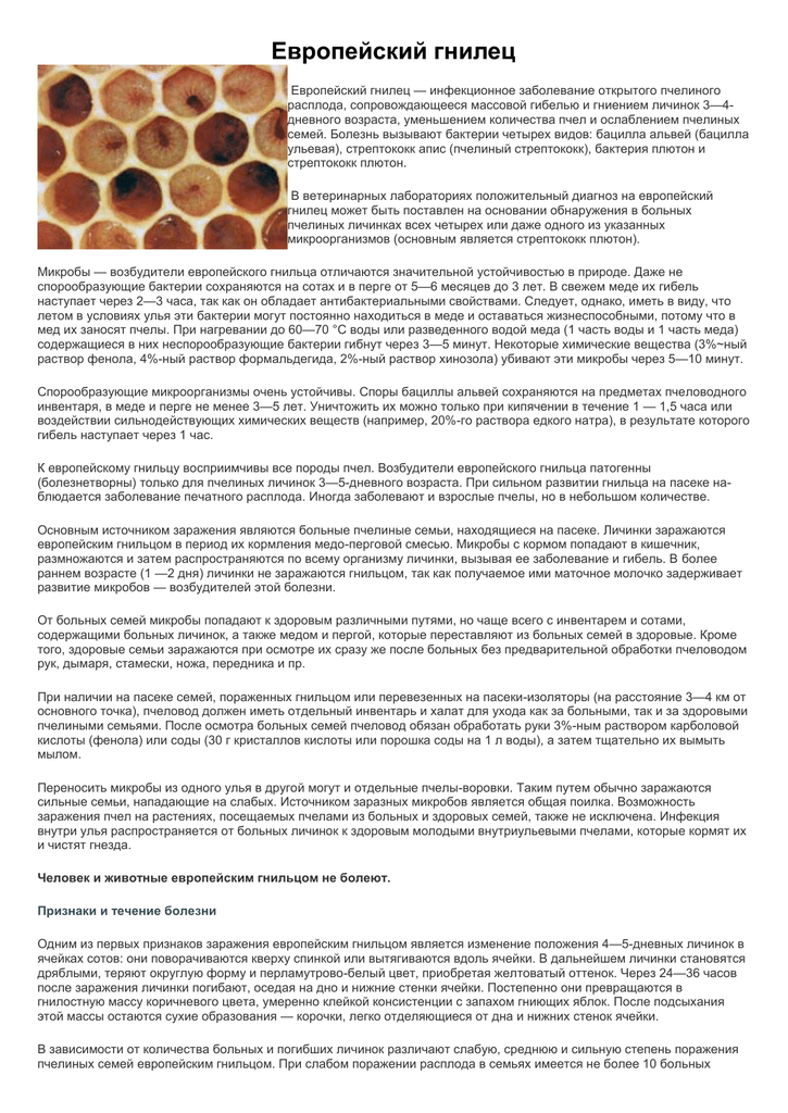 Лечение пчел йодом от гнильца и аскосфероза: методы обработки