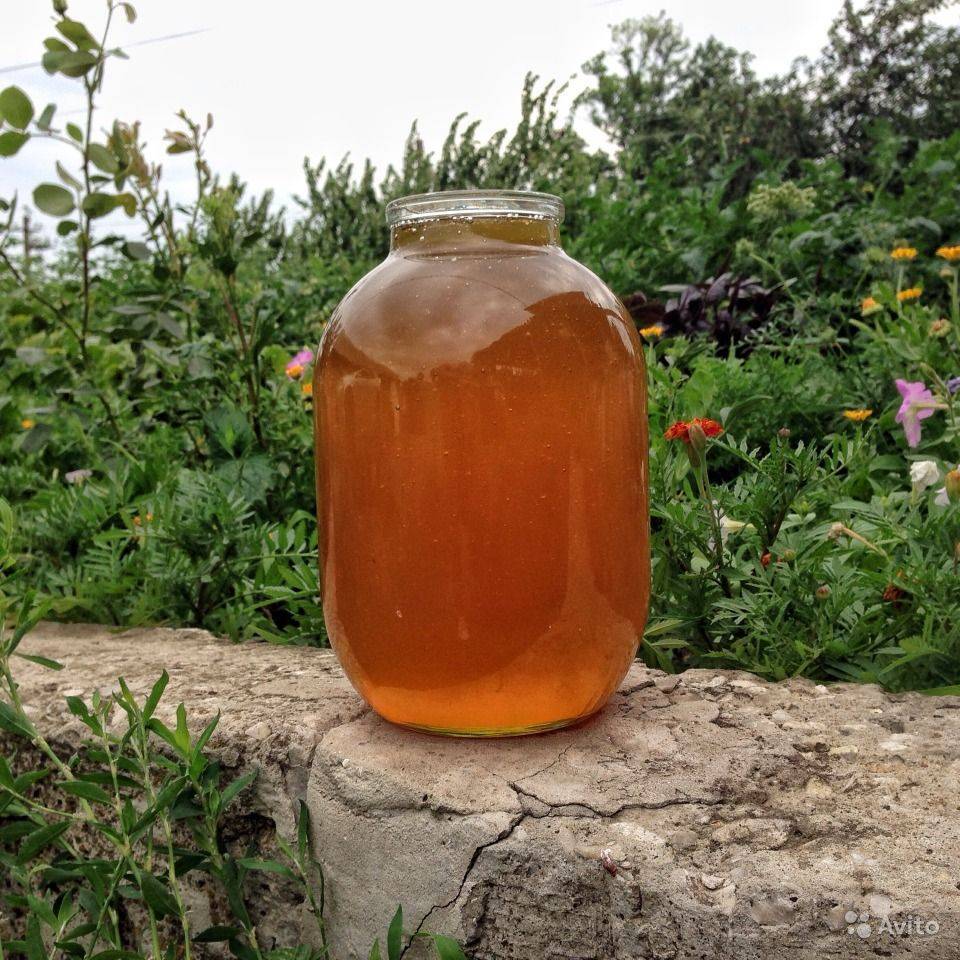 Кориандровый мёд: польза и вред, показания и противопоказания к употреблению, химический и витаминный состав, фото
