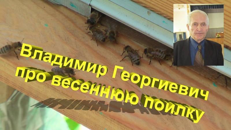 Кашковский – великий учитель науки пчеловодства