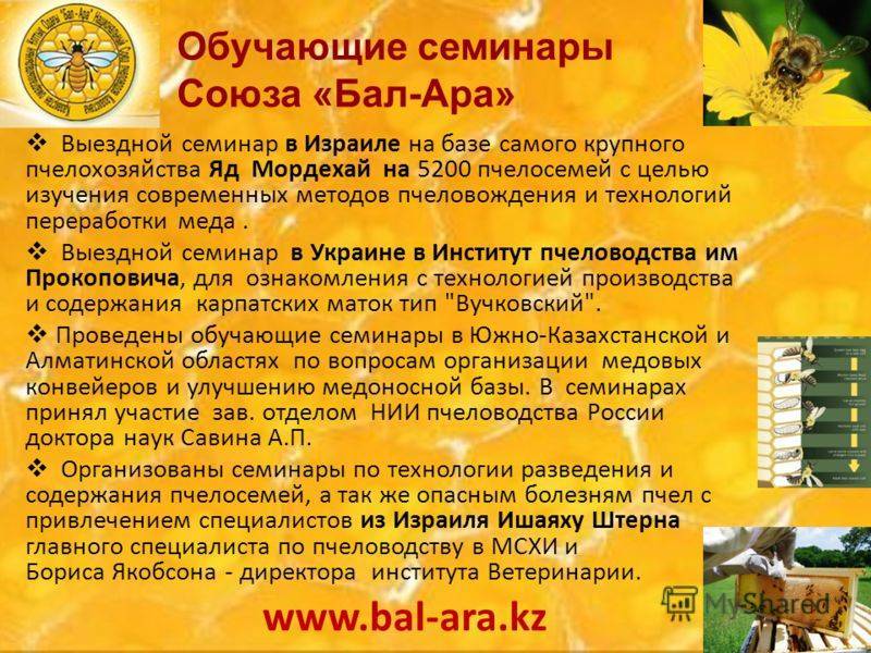 Закон республики башкортостан о пчеловодстве (ред. 2020 г.)