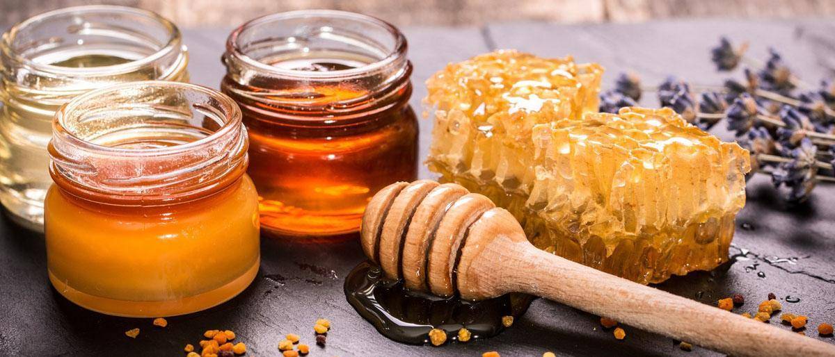 Падевый мед: польза и вред для человека, как определить в домашних условиях, какие привкусы может иметь, отличительные признаки, противопоказания »