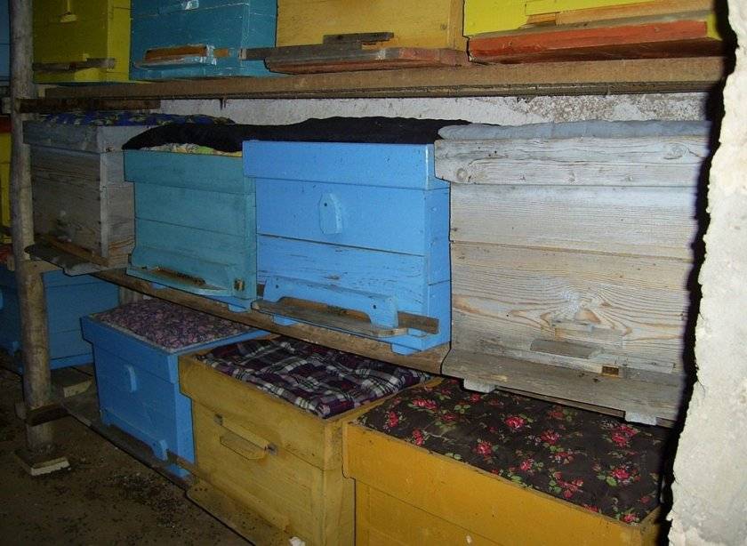Омшаник своими руками, зимовка пчёл под контролем | пчеловодство | пчеловод.ком