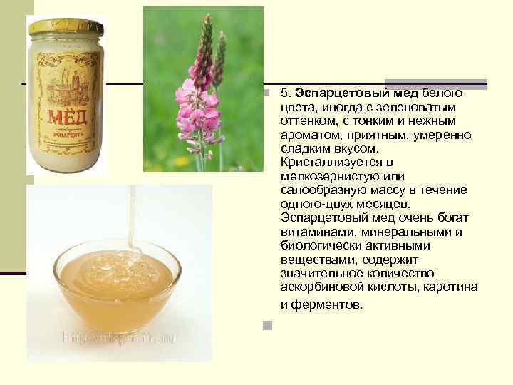 Эспарцетовый мед: полезные свойства, противопоказания, применение