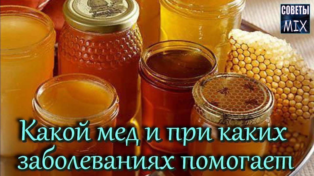 Какой же самый полезный сорт мёда? рейтинг диетологов и врачей: 8 видов – 8 мест