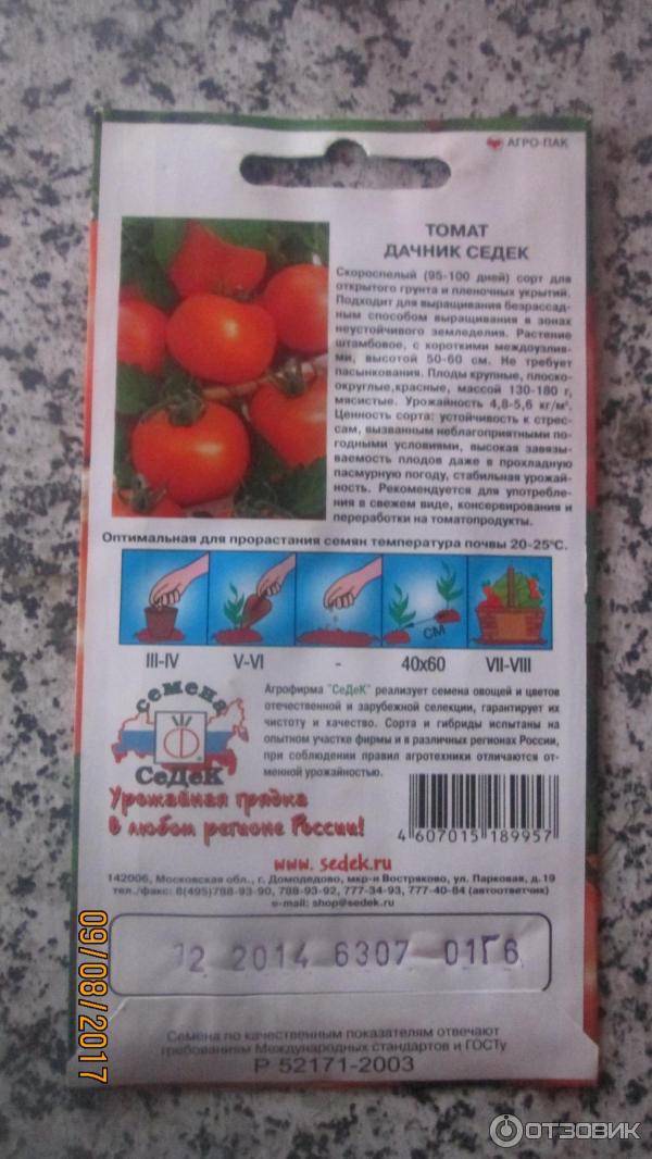 Сорт томатов сибирский скороспелый – описание, урожайность, отзывы и фото