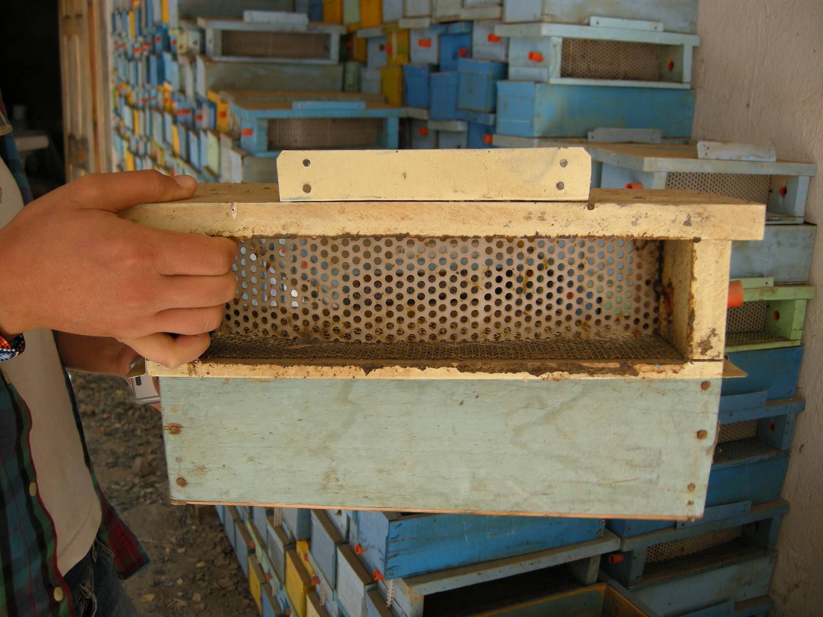 Органическое пчеловодство - pchela-info.ru