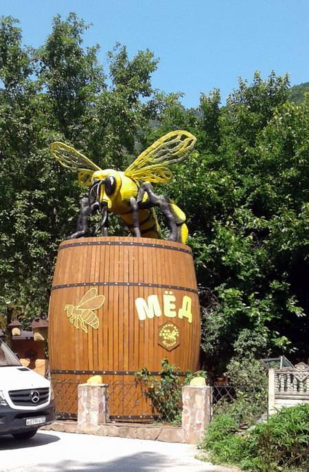Эвкалиптовый мед: полезные и лечебные свойства, фото