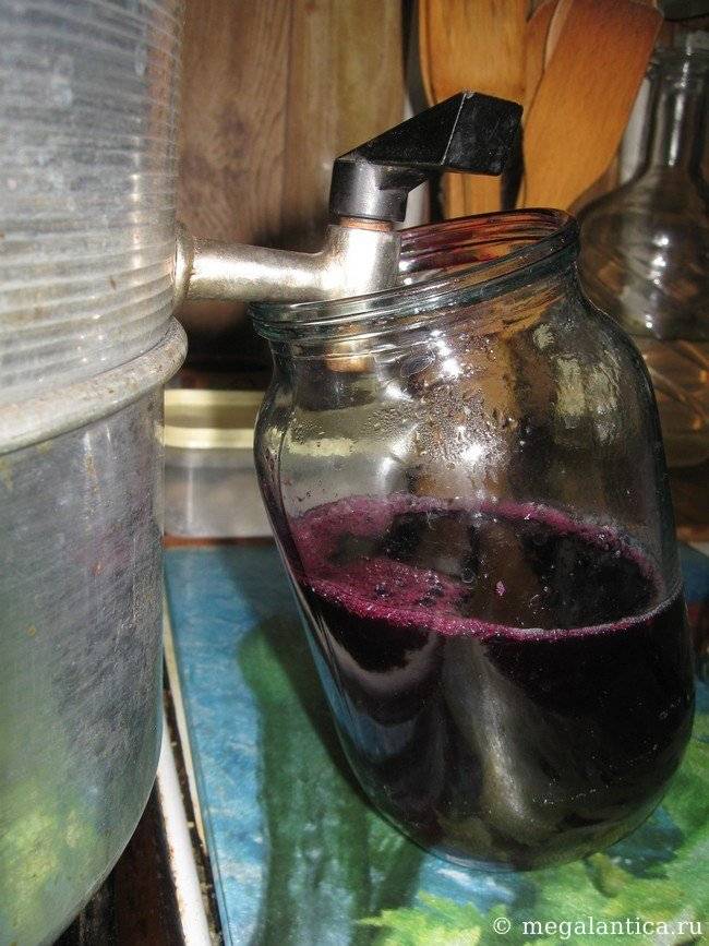 Домашнее вино из винограда с перчаткой – выход из положения! технология изготовления домашнего вина из винограда с перчаткой