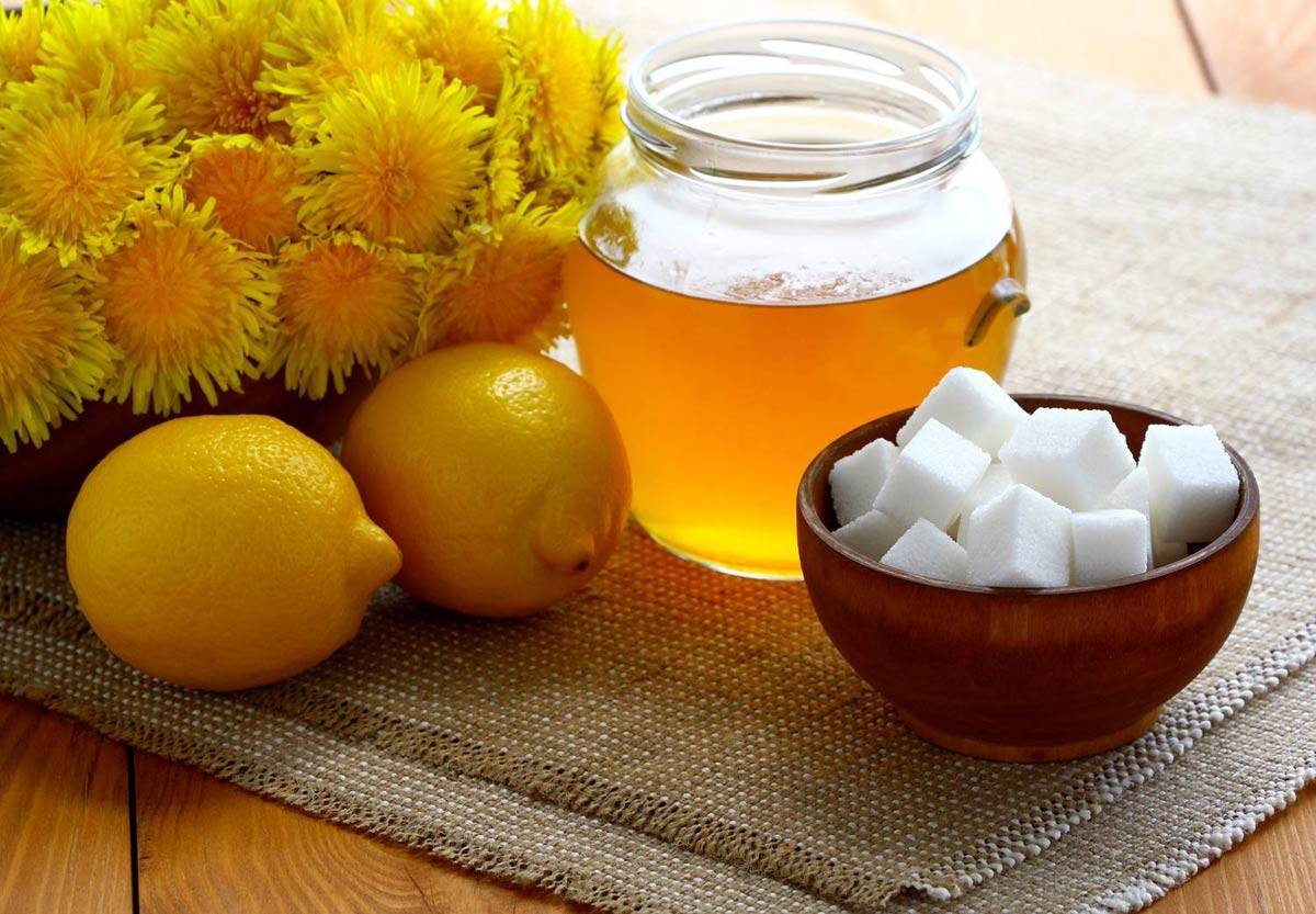 Мед из одуванчиков: польза, вред, вкусные рецепты в домашних условиях