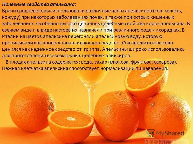 Чем полезны и вредны апельсины для организма человека: свойства