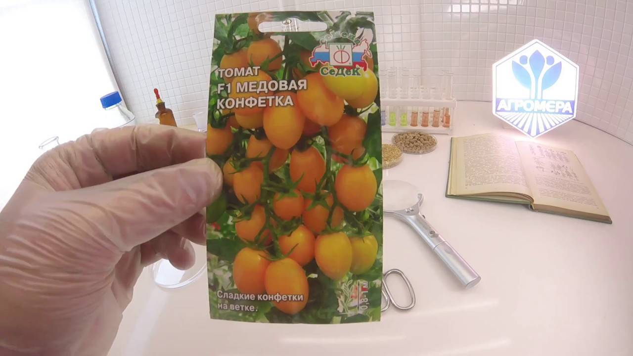 Томат медовая конфетка f1: характеристика и описание сорта с фото и видео, урожайность помидора, отзывы