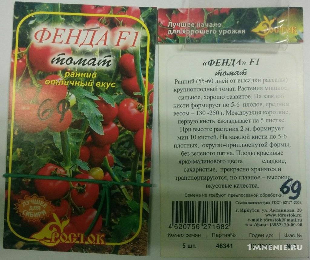 Сорт томатов летний сад f1: характеристика и описание, особенности посева, выращивания и ухода, фото