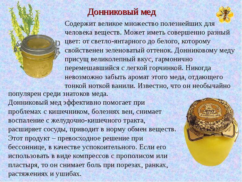 Польза и вред липового мёда для организма, состав, применение
