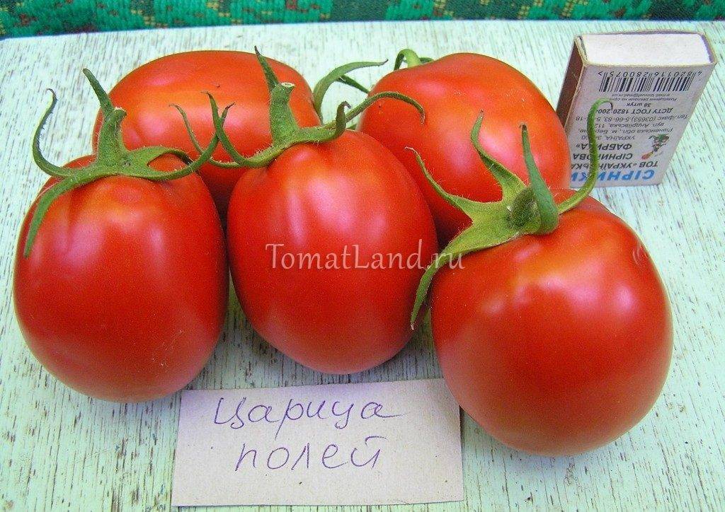 Семена томат f1 екатерина великая: описание сорта, фото