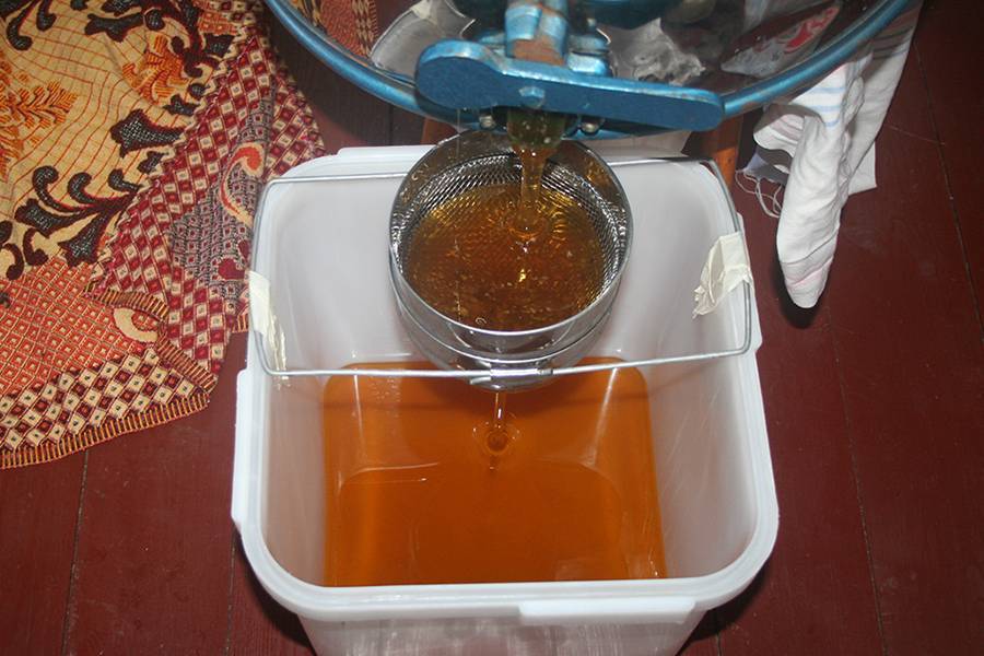 Как правильно хранить свежий мед / чтобы он оставался полезным – статья из рубрики "как хранить" на food.ru