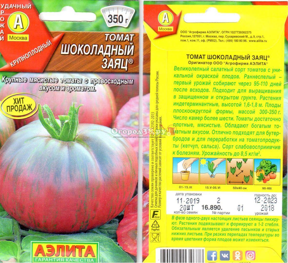 Высокоурожайный томат шоколадный зайчик: описание сорта