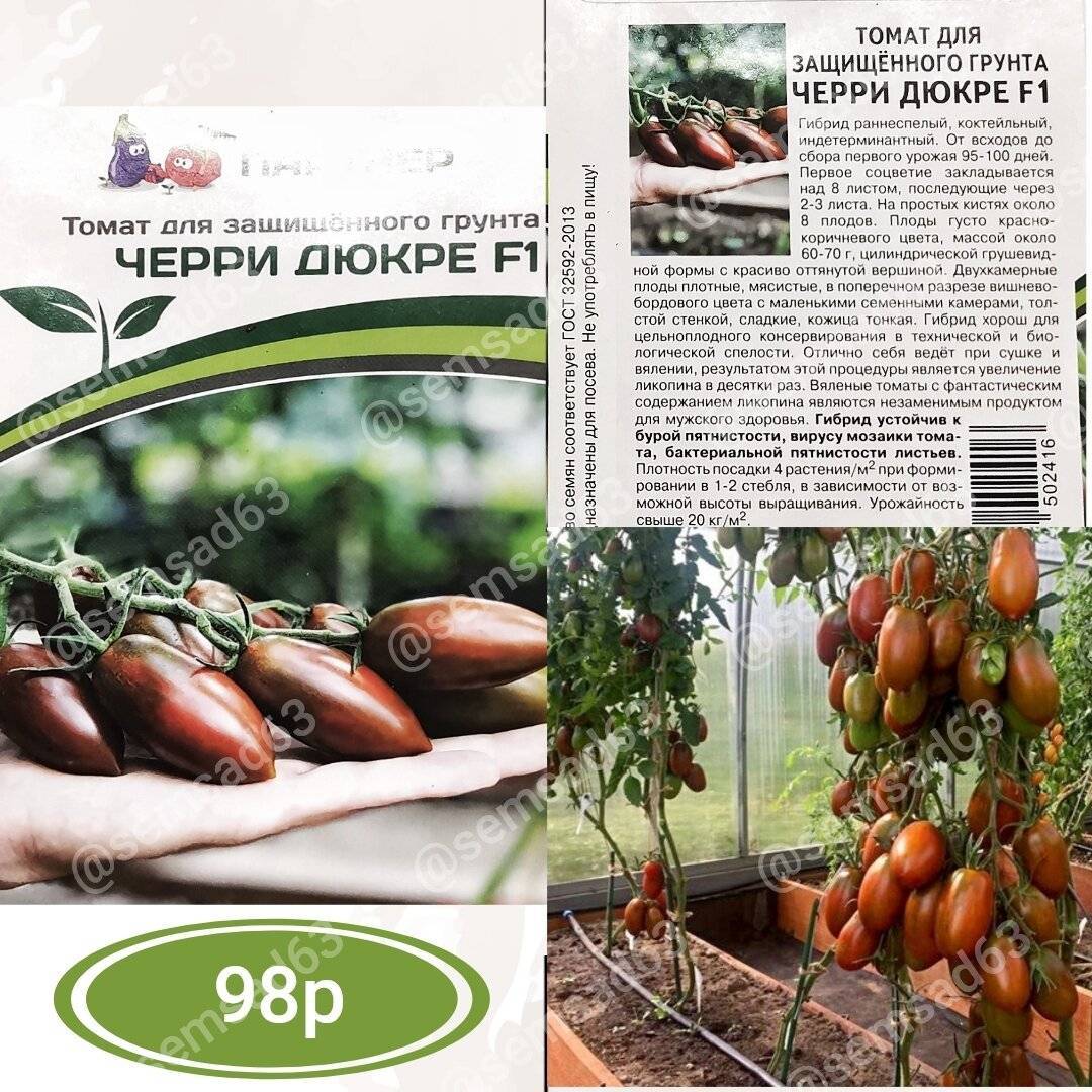 Сорт томатов джекпот характеристика и описание сорта фото