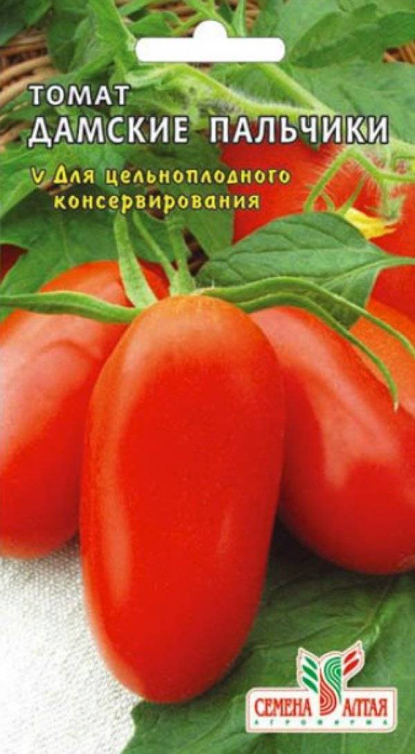Характеристика и описание помидор сорта дамские пальчики