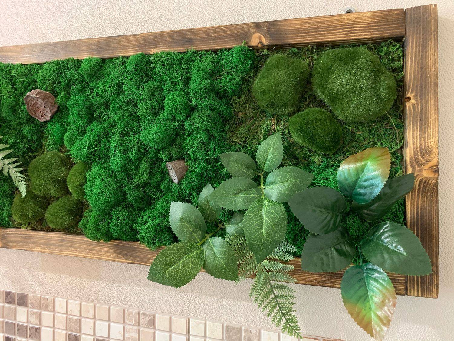 Зеленая стена из растений своими руками - клуб мастеров