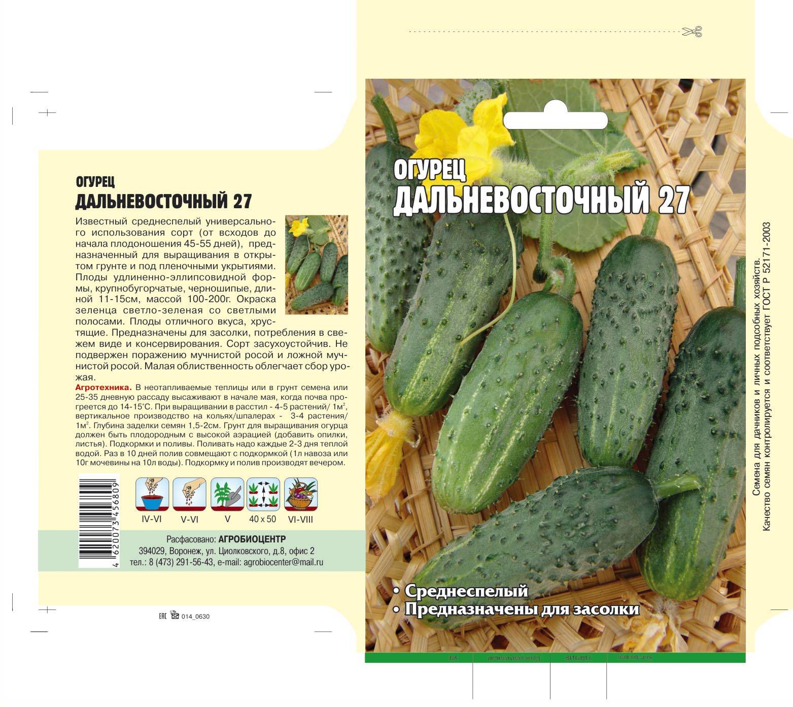 Огурец хабар: описание и характеристика сорта, урожайность с фото