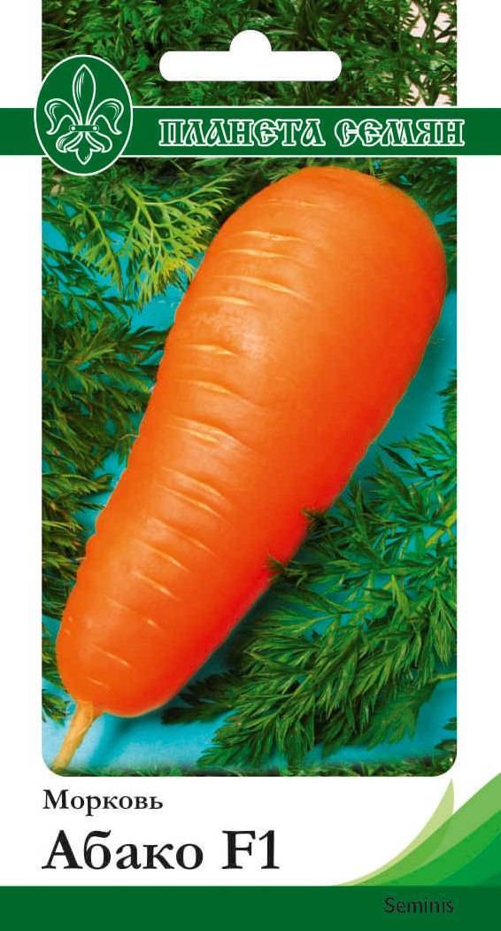 Морковь абако: характеристика и описание сорта, особенности ухода и выращивания в домашних условиях, фото