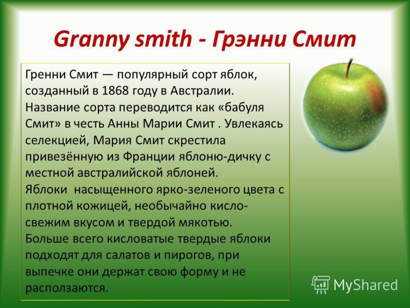 Описание сорта яблони гренни смит: фото яблок, важные характеристики, урожайность с дерева