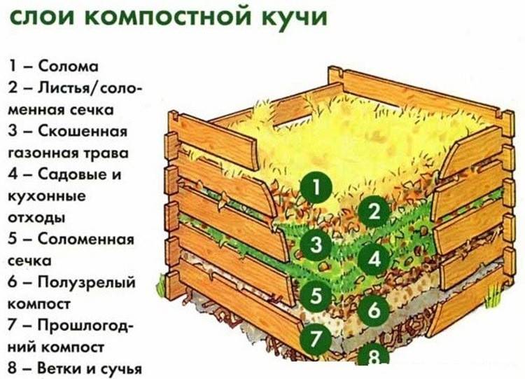Компостная куча: как правильно сделать своими руками