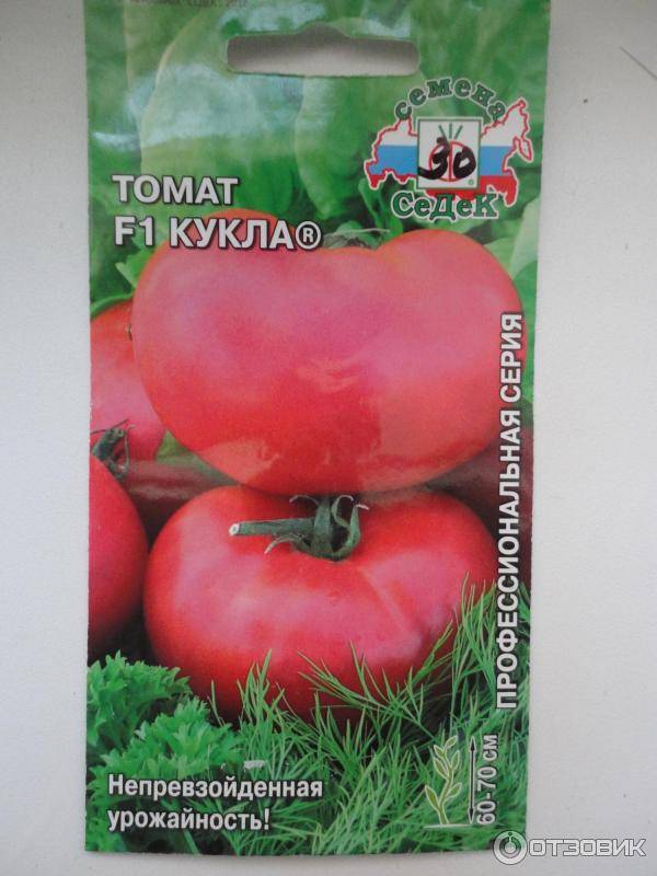 Специфика выращивания томата кукла f1 с отзывами