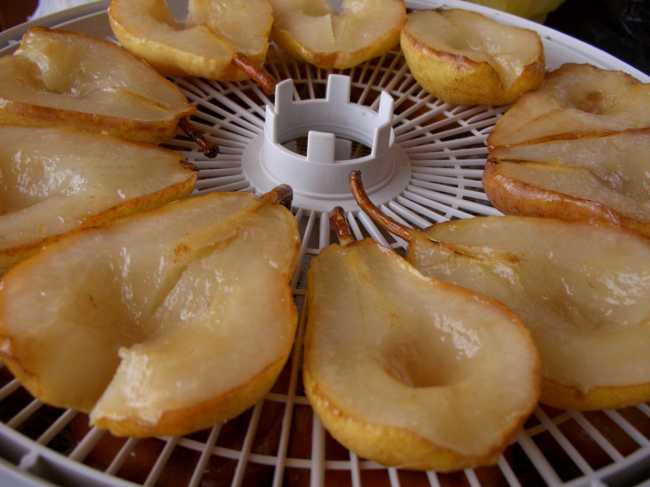 Сушка груш в духовке газовой плиты. как подсушить яблоки и груши для зимнего хранения