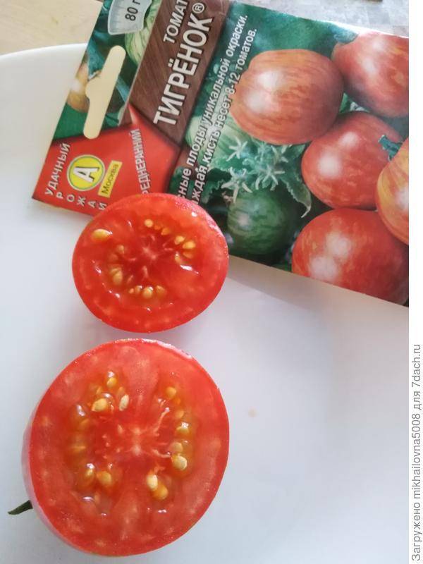Отзыв о томат сорта "тигренок": сорт томатов с необычным, ярким окрасом.. автор tatuananester