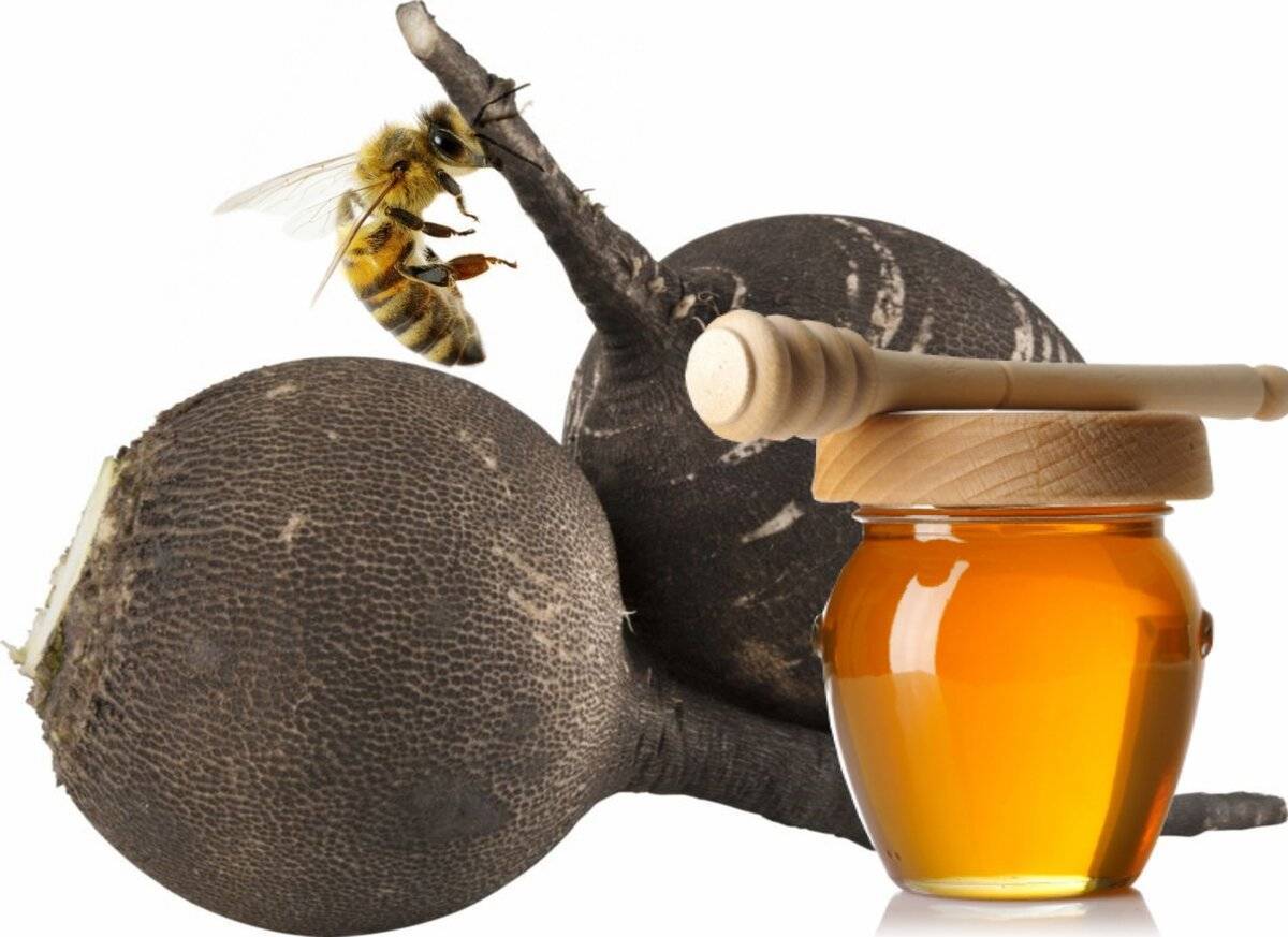 Мед, сода и масло от гайморита