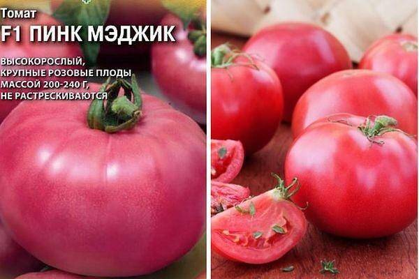 Томат пинк мэджик f1 (розовая магия): отзывы об урожайности помидоров, фото куста, характеристика и описание сорта