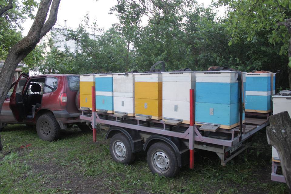 Прицеп для пчел и перевозки ульев на легковой автомобиль: какие бывают платформы