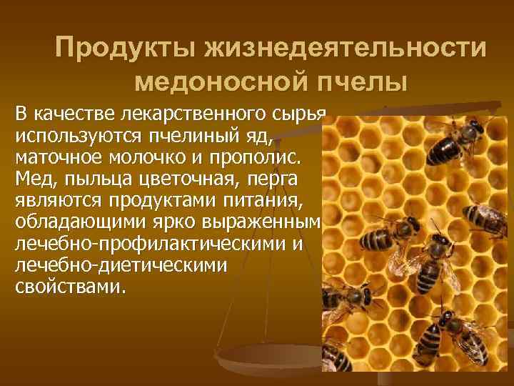 Эффективное лечение пчелиной пыльцой