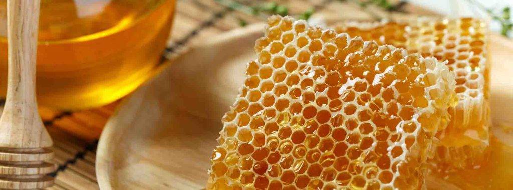 Можно ли есть пчелиные соты? польза, применение, вред | пища это лекарство